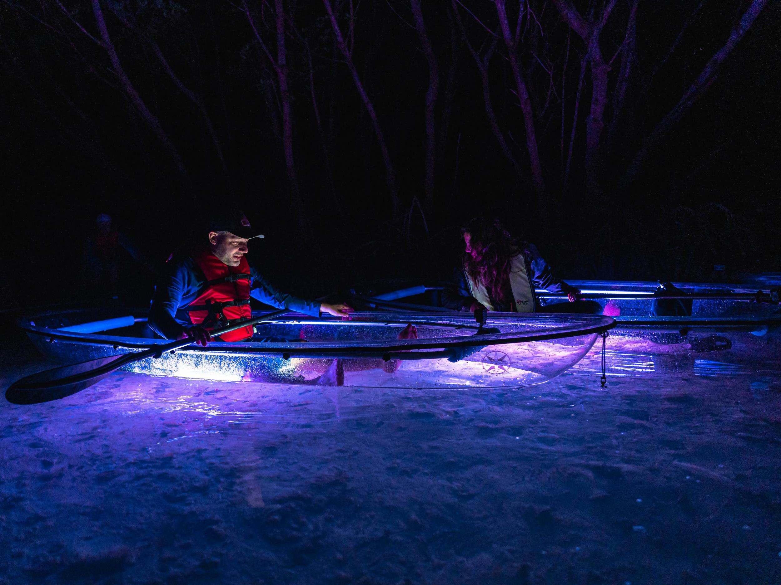 two people in clear kayaks with lights paddle near mangroves at night
