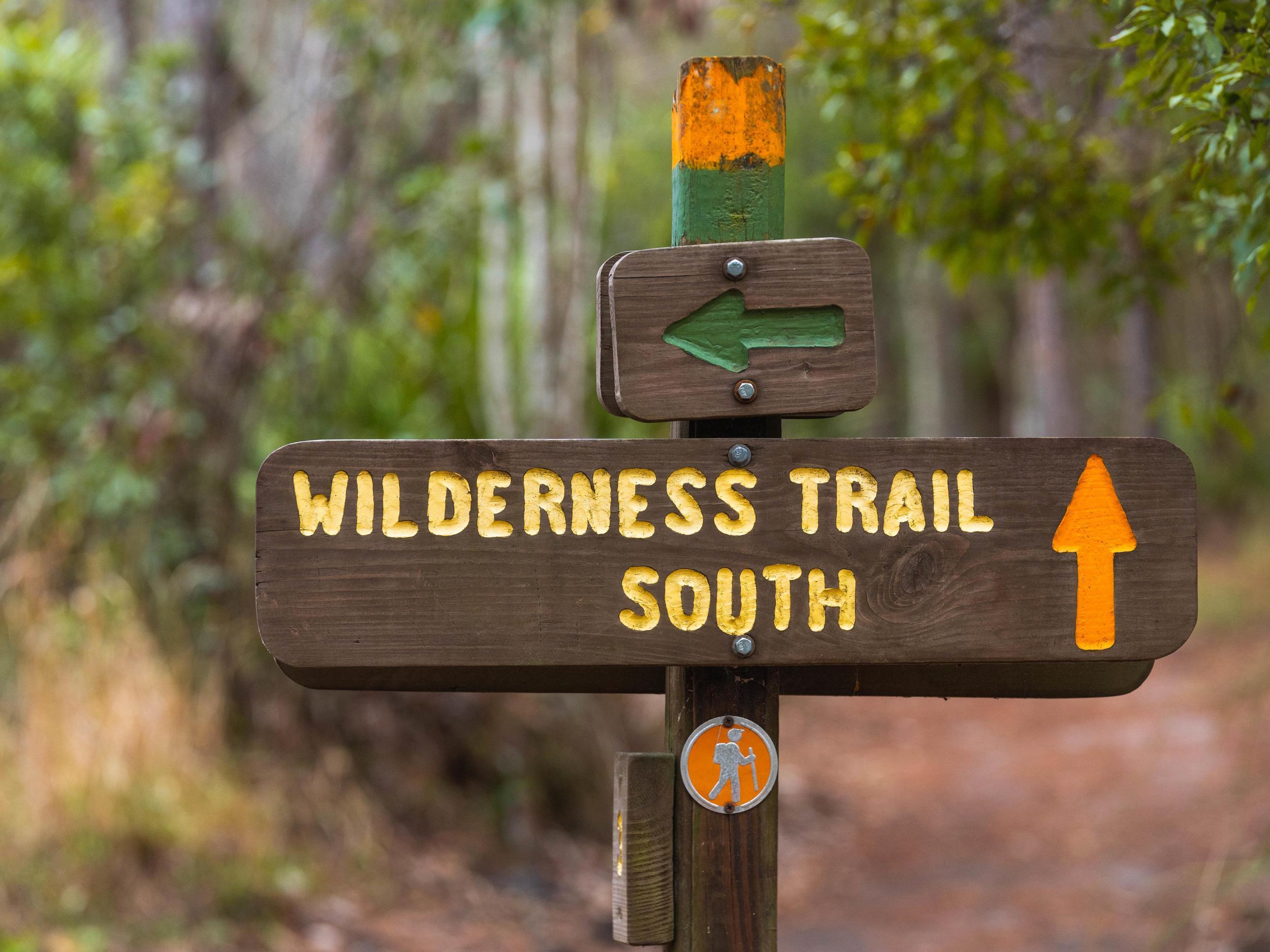 a trail sign that says "Wilderness Trail South" at Brooker Creek Preserve
