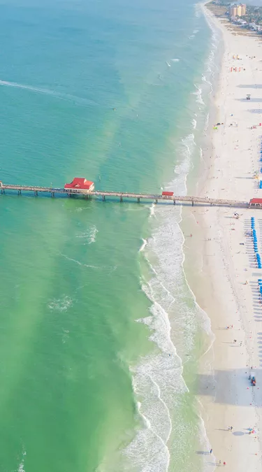 things to do in clearwater fl