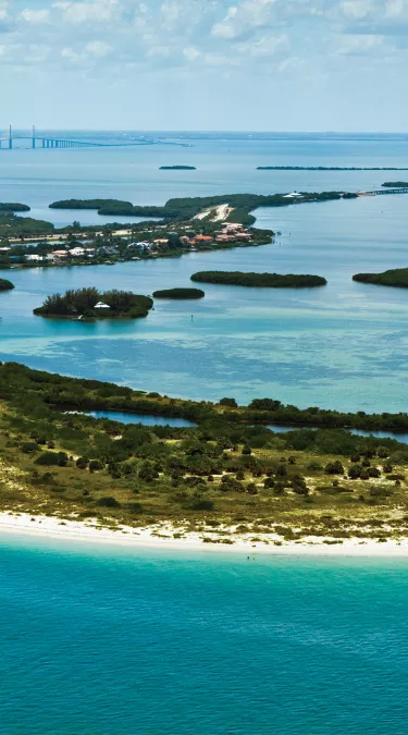 la playa de fort desoto permite perros