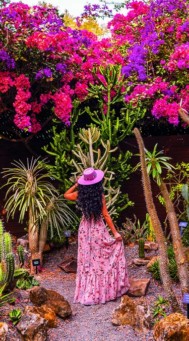 a woman in a pink dress and hat stands in the succulent garden, looking at a wall of brightly colored bougainvillea vines