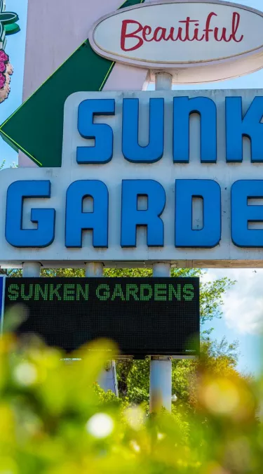 a vintage sign for Sunken Gardens in St. Pete Florida