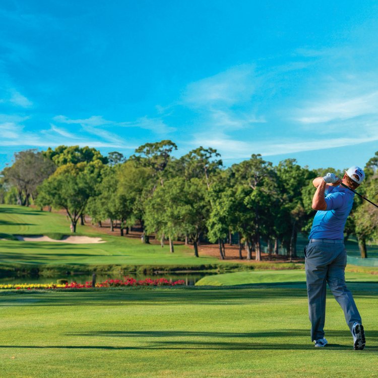 Ein Golfer schlägt im Innisbrook Resort in Palm Harbor ab