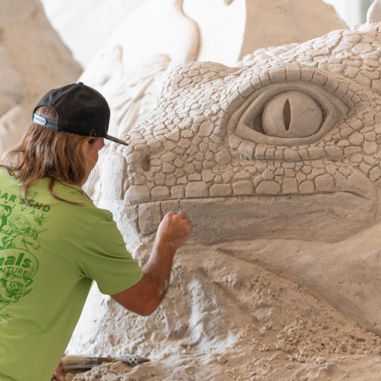 an artist wearing a lime green t-shirt and a black baseball hat works on a sand sculpture of an iguana