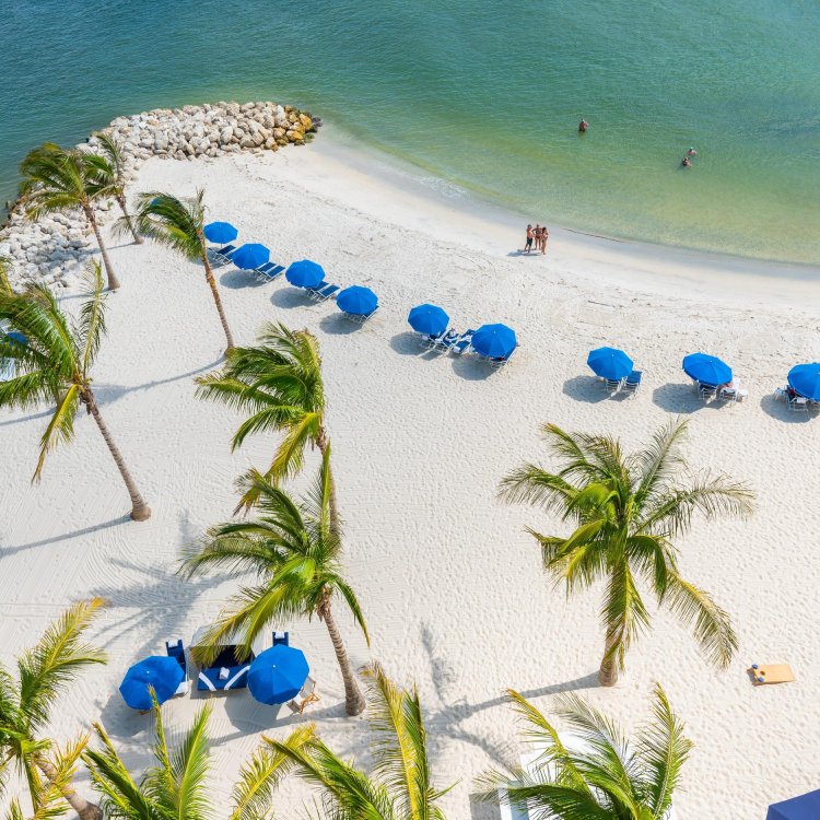 aerial view of swaying palm trees, blue umbrellas and white sand beach with rocks on the left side