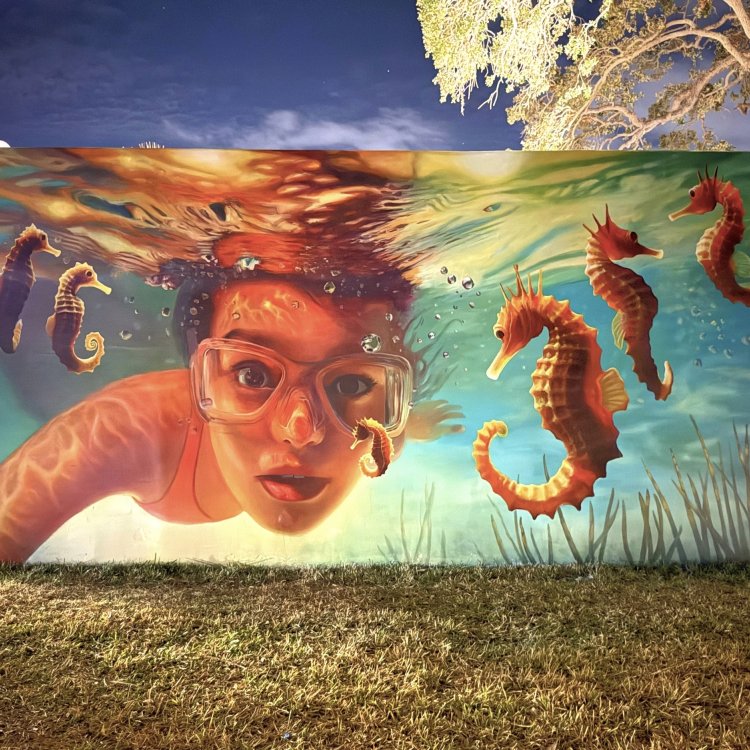 "Clear Water Wonders" at Coachman Park by Naomi Haverland