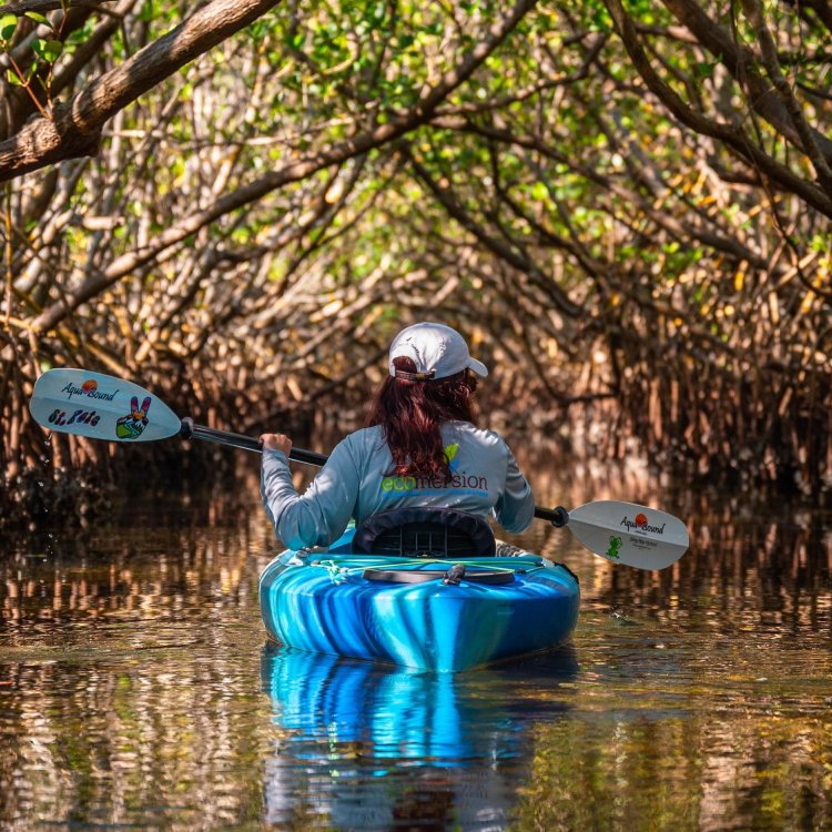 a woman paddles through thick mangrove tunnels with Ecomersion Kayak in St. Pete