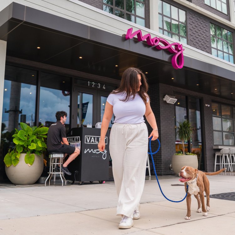 a woman walking her dog outside Moxy St. Petersburg