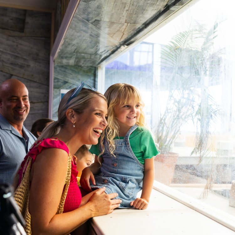 a family looks through a viewing window at Clearwater Marine Aquarium