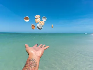 A man throwing shells in the air in beautiful blue-green waters of Shell Key Preserve, accessible only by boath
