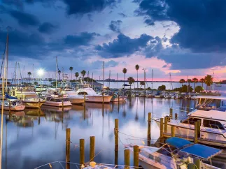 Dunedin marina at sunset