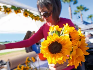 Sunflowers became the popular buy at the morning markets