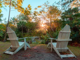 Lounge chairs over look trees, a pond and a fountain at Florida Botanical Gardens in Largo.