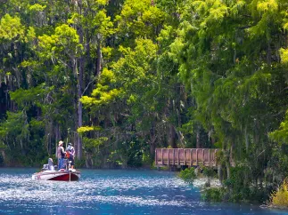 two men fish from a small motorboat in Lake Tarpon in Oldsmar; a boardwalk is on the shore with a lush canopy of oak trees