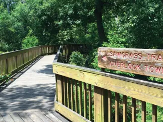 Sawgrass Lake Park boardwalk entrance and sign, surrounded by nature