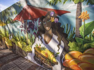 A mural of a lady holding a fruit basket from the Florida Botanical Gardens
