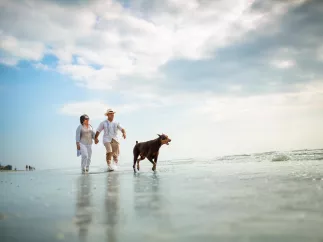 An couple in their 50s walk along the Fort De Soto shoreline with their dog