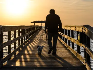 A man walks his dog out to the Safety Harbor Pier at Sunset