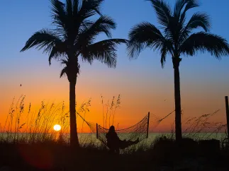 A lady relaxing in a hammock hanged between two palm trees during sunset in Madeira Beach