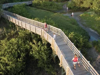 People walking on a boardwalk through Boca Ciega Millennium Park and people walking there dog in the fields 