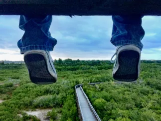 Feet dangle from above as the Weedon Island boardwalk is shown in the background