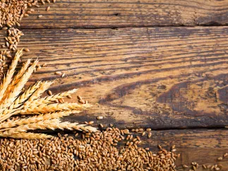 Wheat leaf and grains on top of a wooden surface.