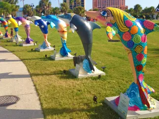 A line up of the dolphin trail