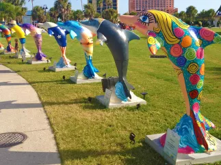A line up of the dolphin trail