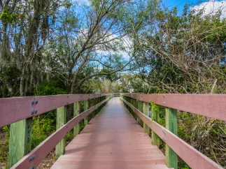 A raised boardwalk with side rails in Central Park Nature Preserve.