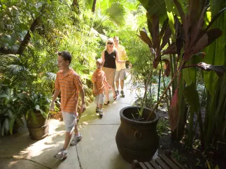 Family walks along paved path through greenery