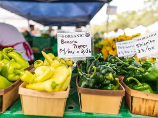 Baskets of organic peppers for sale at the St. Pete Saturday Morning Market