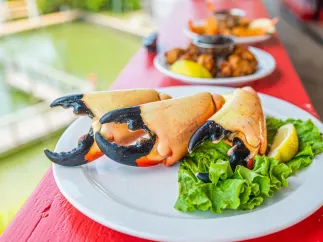 Cooked stone crab claws on a plate with lettuce garnish