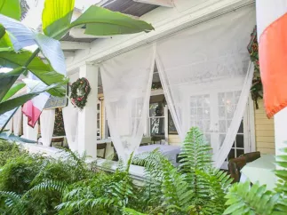 a front porch surrounded by lush ferns and accented by gauzy white curtains