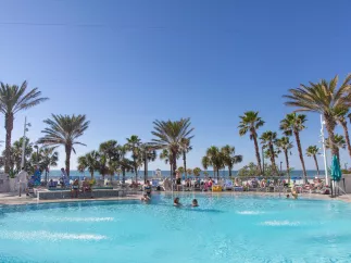 beachfront pool with palm trees at the Wyndham Grand Clearwater Beach