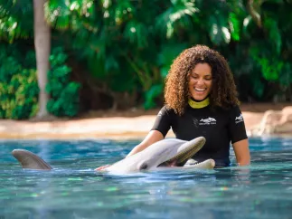 woman standing in clear water and resting hand on back of a dolphin with lush greenery and palm trees in the background at Discovery Cove in Orlando
