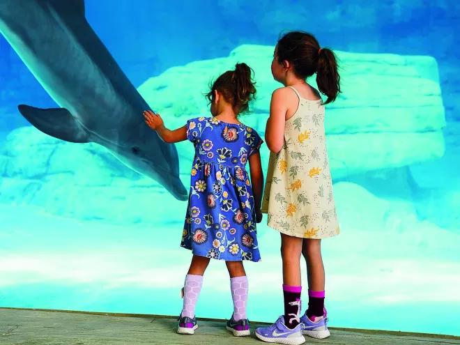 Two little girls in dresses stand at the huge window at the dolphin habitat at Clearwater Marine Aquarium
