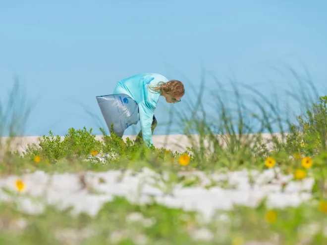 a person holding a bag to pick up trash at a beach cleanup on a dune with yellow flowers