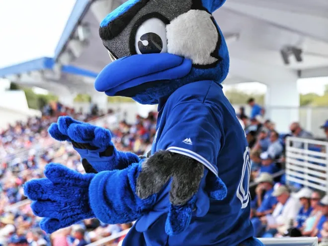blue jay mascot