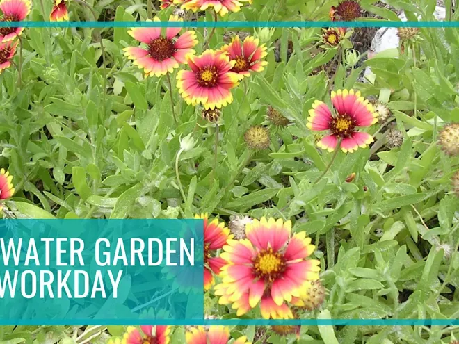 Monthly Clearwater Garden Club Workday Series event flyer poster.