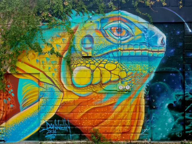 Mural of an iguana
