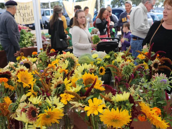 Fresh flowers on display