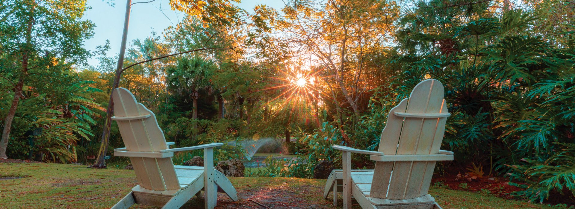 The soft light of sunset filters over two white Adirondack chairs at the Florida Botanical Gardens in Largo