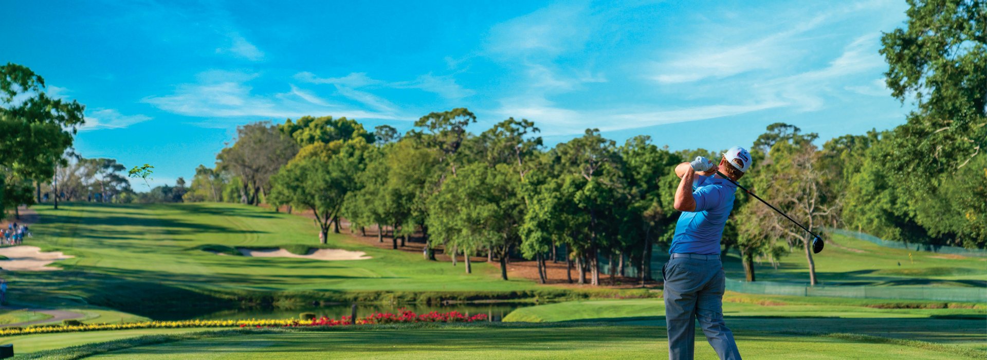 a golfer tees off at Innisbrook Resort in Palm Harbor