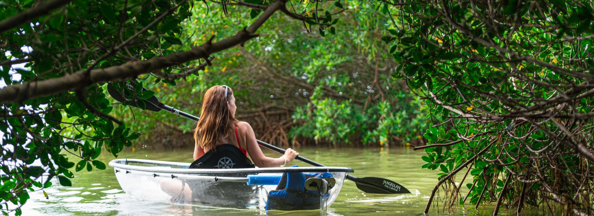 A woman in a clear see-through kayak in the mangroves of St. Pete/Clearwater