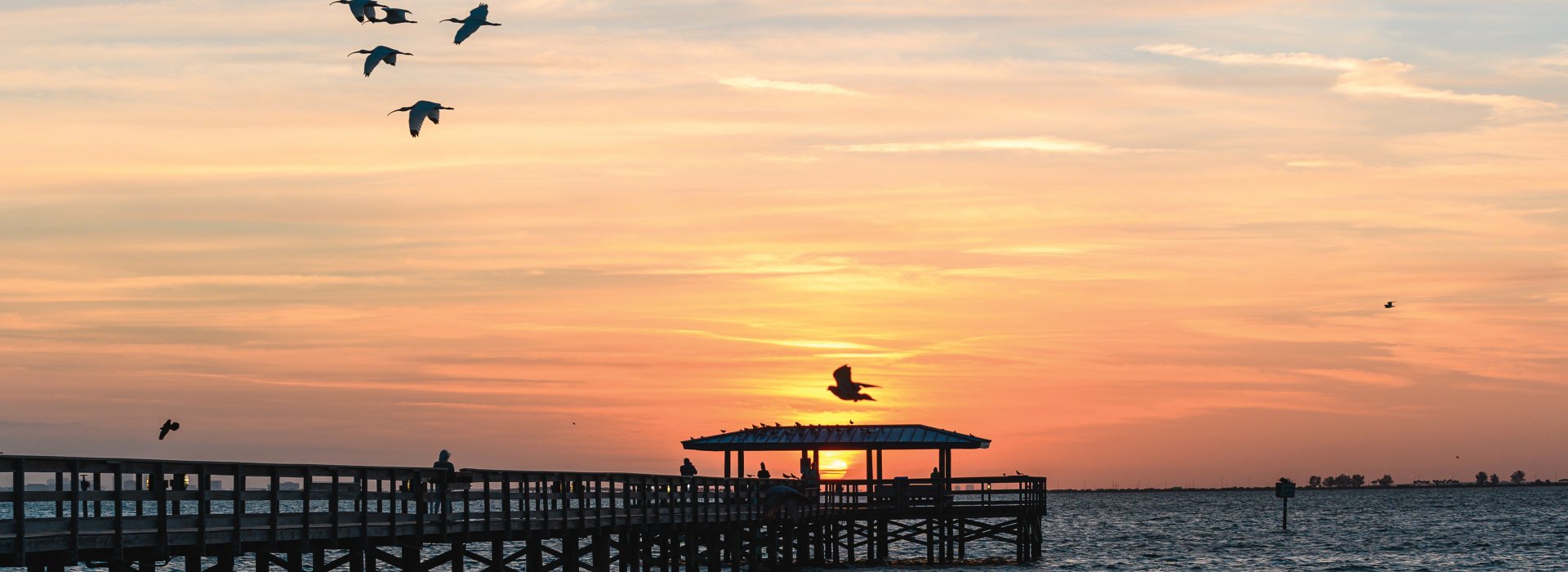 Los pájaros vuelan sobre el muelle de Safety Harbor al atardecer