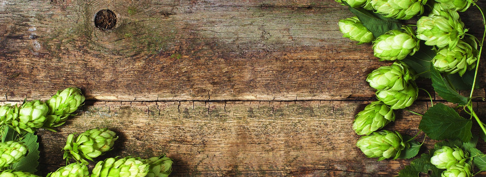 Green hops on top of a rough wooden surface.