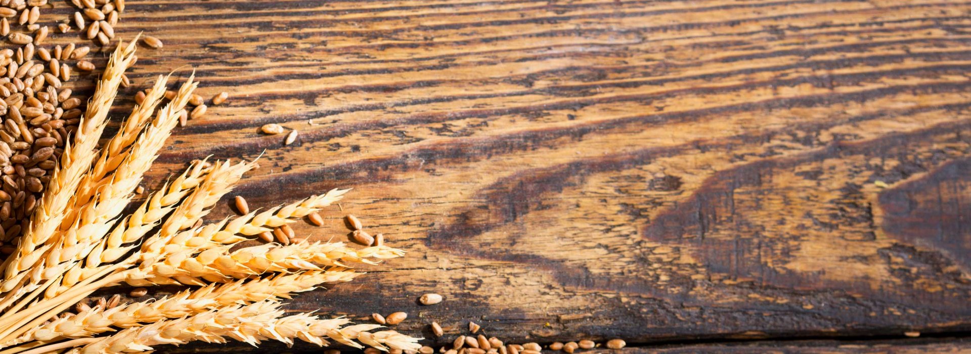 Wheat leaf and grains on top of a wooden surface.