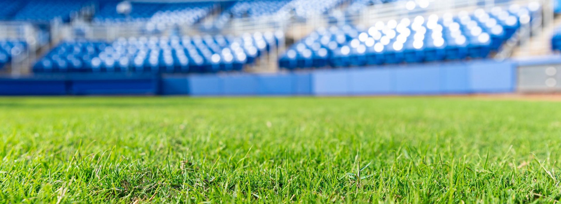 A shot of the stadium inside TD Ballpark in Dunedin