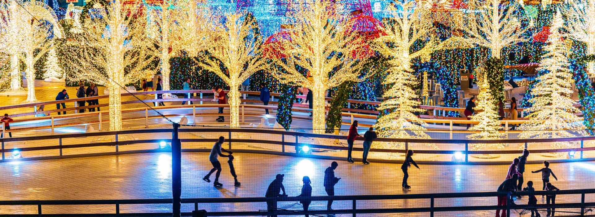 Families ice skate at night in front of trees covered in white lights