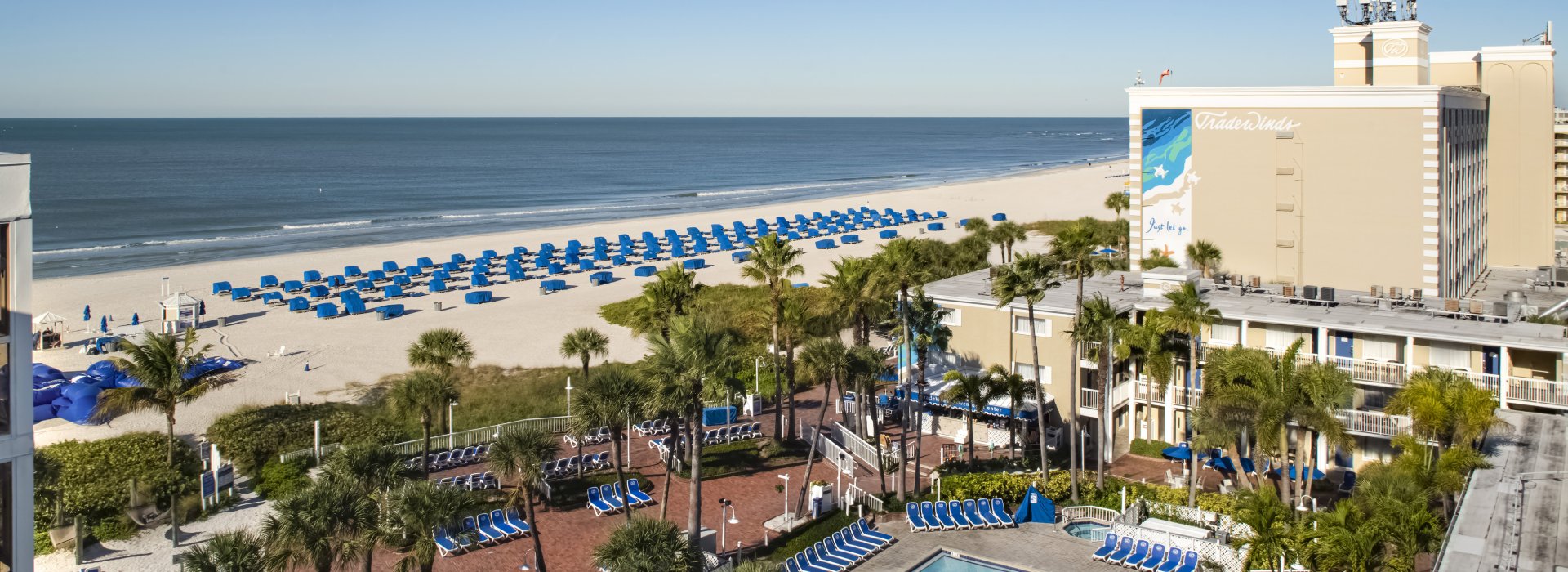 Tradewinds new 2020 image